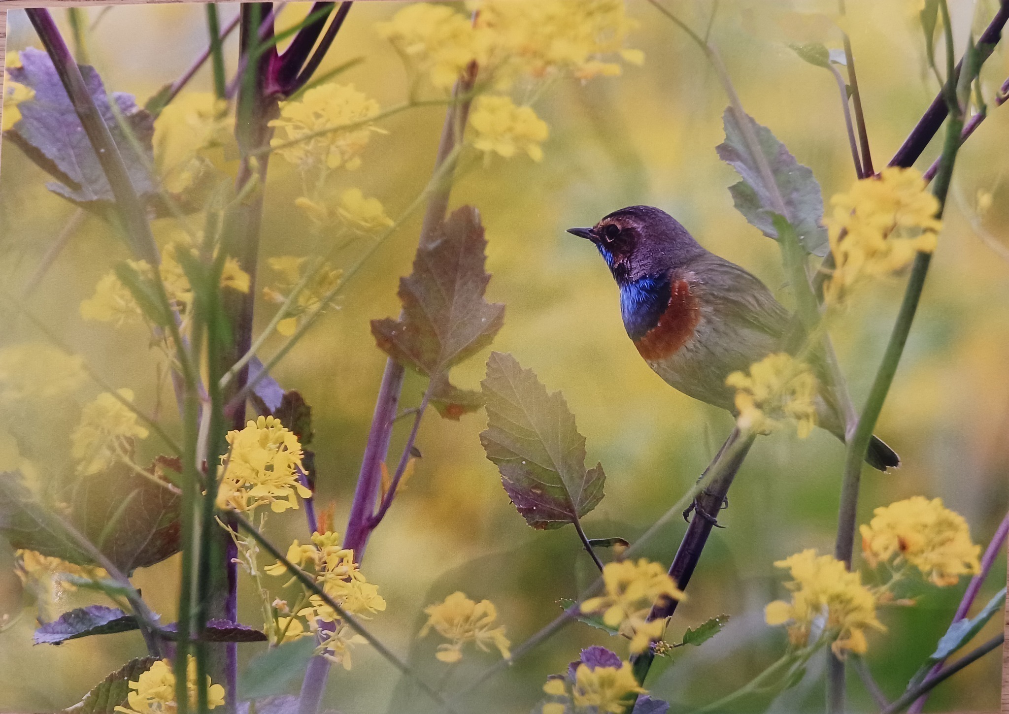 1er prix - concours photo 25