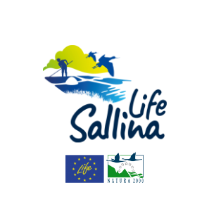 Life sallina