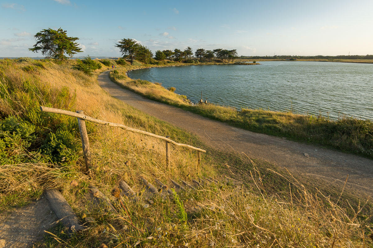 Noirmoutier-3727