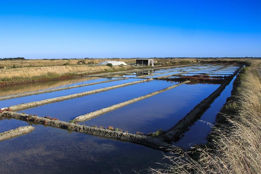 photo marais salés noirmoutier