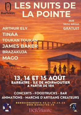 affiche nuit de la pointe