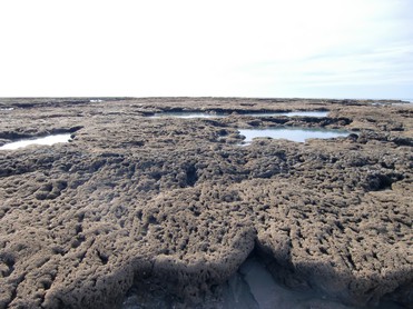 Hermelles plage Barbâtre